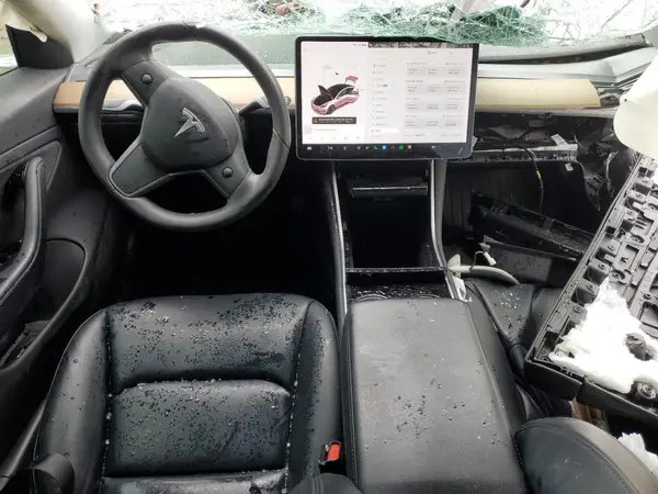 5YJ3E1EB6LF618976 2020 TESLA MODEL 3 - Image 8