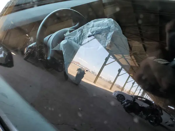 5YJ3E1EB6LF637222 2020 TESLA MODEL 3 - Image 8