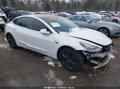 5YJ3E1EB6LF784169 2020 TESLA MODEL 3