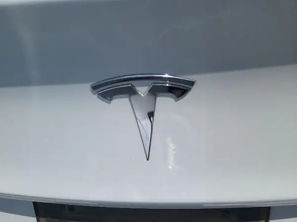 5YJ3E1EB6LF800953 2020 TESLA MODEL 3 - Image 1