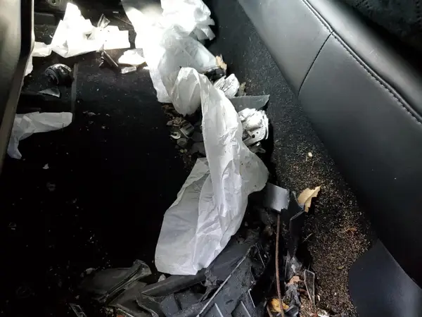 5YJ3E1EB6MF073590 2021 TESLA MODEL 3 - Image 8