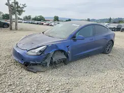 5YJ3E1EB6MF998581 2021 TESLA MODEL 3