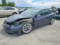 5YJ3E1EB6PF636562 2023 TESLA MODEL 3