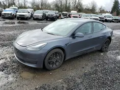 5YJ3E1EB6PF686927 2023 TESLA MODEL 3