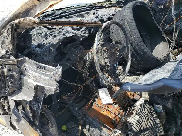 5YJ3E1EB6SF980823 2025 TESLA MODEL 3 - Image 8