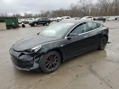 5YJ3E1EB7KF199051 2019 TESLA MODEL 3