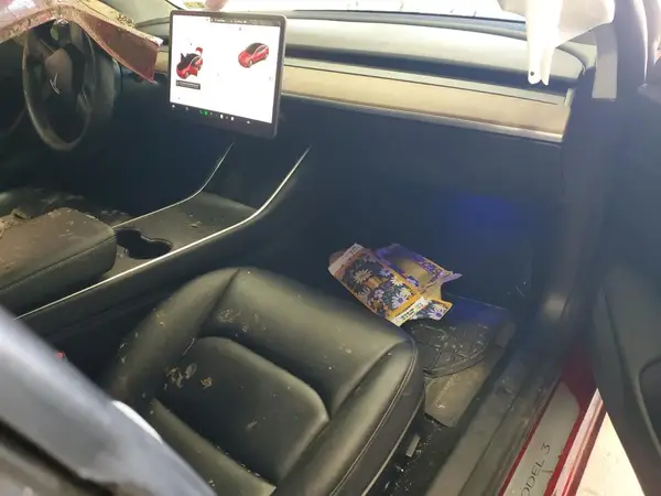 5YJ3E1EB7KF389612 2019 TESLA MODEL 3 - Image 8