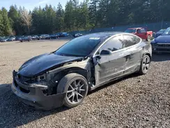 5YJ3E1EB7LF746241 2020 TESLA MODEL 3