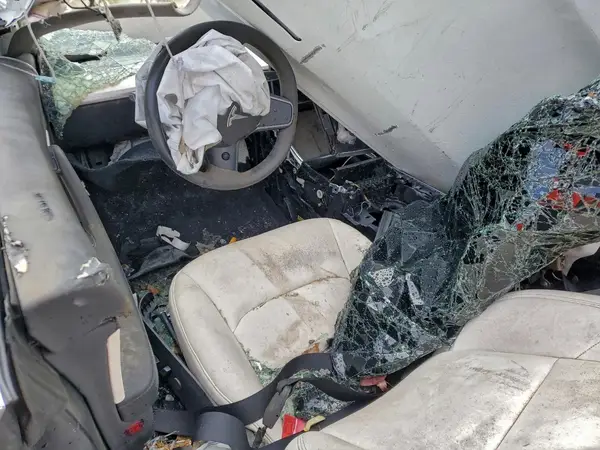 5YJ3E1EB7LF791325 2020 TESLA MODEL 3 - Image 8