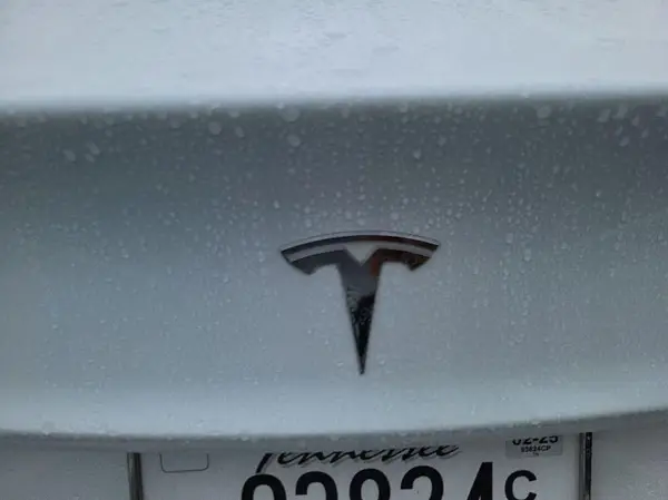 5YJ3E1EB7LF800959 2020 TESLA MODEL 3 - Image 1