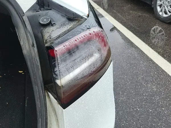 5YJ3E1EB7LF800959 2020 TESLA MODEL 3 - Image 2