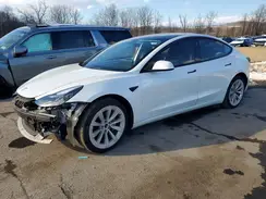 5YJ3E1EB7NF247300 2022 TESLA MODEL 3