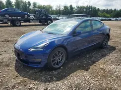 5YJ3E1EB7PF471556 2023 TESLA MODEL 3