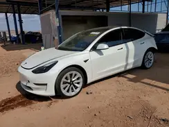 5YJ3E1EB7PF479303 2023 TESLA MODEL 3