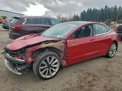 5YJ3E1EB8KF389652 2019 TESLA MODEL 3
