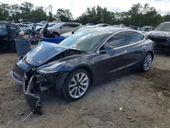 5YJ3E1EB8KF465239 2019 TESLA MODEL 3