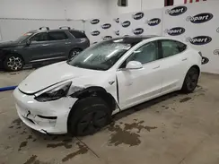 5YJ3E1EB8KF494482 2019 TESLA MODEL 3