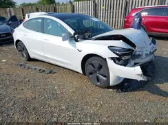 5YJ3E1EB8KF494594 2019 TESLA MODEL 3