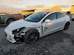 5YJ3E1EB8KF510647 2019 TESLA MODEL 3