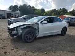 5YJ3E1EB8KF511894 2019 TESLA MODEL 3