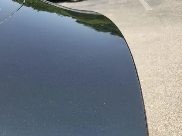 5YJ3E1EB8LF600589 2020 TESLA MODEL 3 - Image 1