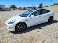 5YJ3E1EB8LF719937 2020 TESLA MODEL 3