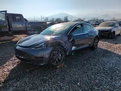 5YJ3E1EB8LF741713 2020 TESLA MODEL 3