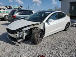 5YJ3E1EB8LF795075 2020 TESLA MODEL 3