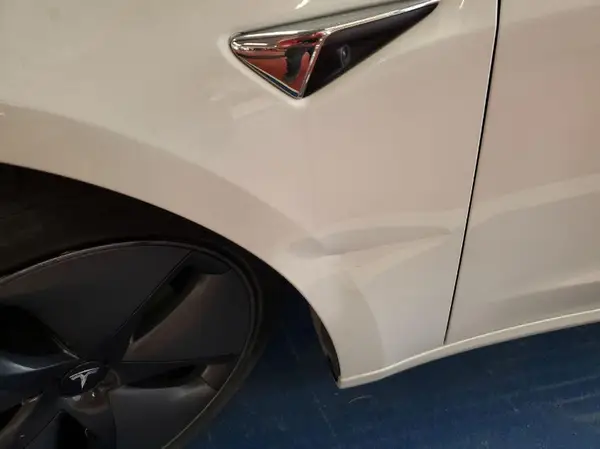 5YJ3E1EB8LF795111 2020 TESLA MODEL 3 - Image 1