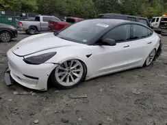 5YJ3E1EB8MF859813 2021 TESLA MODEL 3
