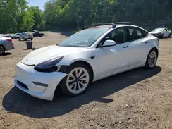 5YJ3E1EB8NF253929 2022 TESLA MODEL 3
