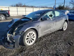 5YJ3E1EB8PF392333 2023 TESLA MODEL 3