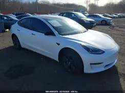 5YJ3E1EB8PF604938 2023 TESLA MODEL 3