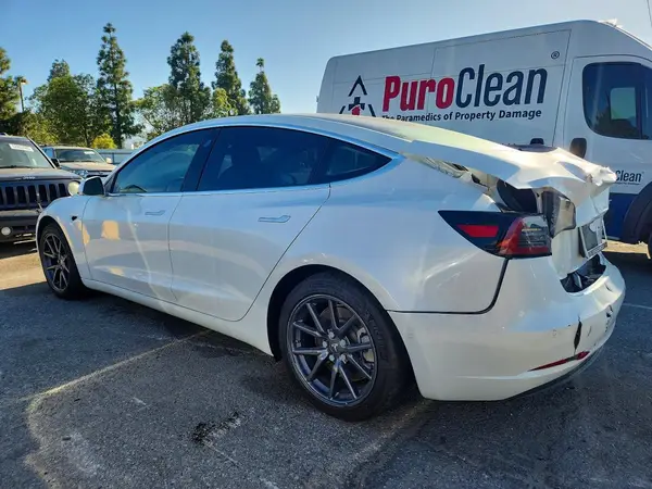 5YJ3E1EB9KF493776 2019 TESLA MODEL 3 - Image 2