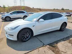 5YJ3E1EB9LF651633 2020 TESLA MODEL 3
