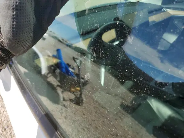 5YJ3E1EB9MF001315 2021 TESLA MODEL 3 - Image 8