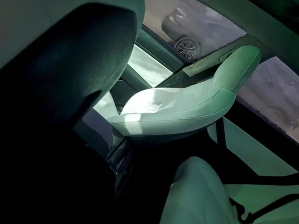 5YJ3E1EB9MF925222 2021 TESLA MODEL 3 - Image 8