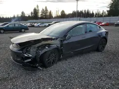5YJ3E1EB9RF787155 2024 TESLA MODEL 3