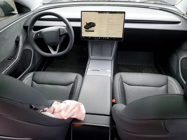 5YJ3E1EB9RF849105 2024 TESLA MODEL 3 - Image 8