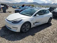 5YJ3E1EBXKF494161 2019 TESLA MODEL 3