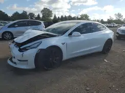 5YJ3E1EBXKF513923 2019 TESLA MODEL 3