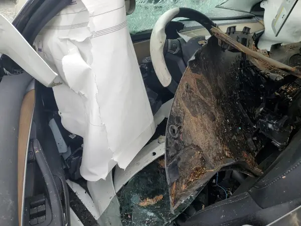 5YJ3E1EBXNF171720 2022 TESLA MODEL 3 - Image 8