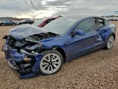 5YJ3E1EBXPF593991 2023 TESLA MODEL 3
