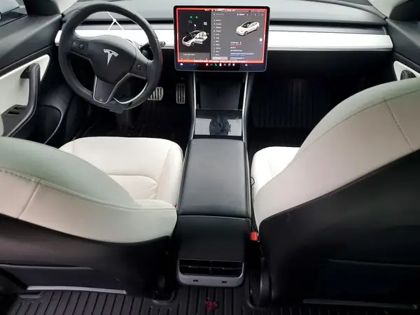 5YJ3E1EC1LF715057 2020 TESLA MODEL 3 - Image 8