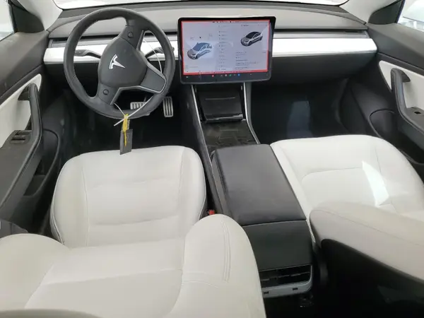 5YJ3E1EC4LF642024 2020 TESLA MODEL 3 - Image 8