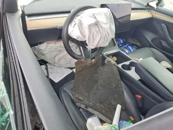 5YJ3E1EC4MF031511 2021 TESLA MODEL 3 - Image 8