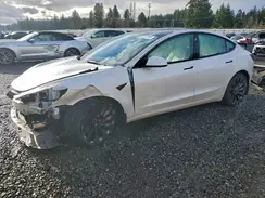 5YJ3E1EC4PF559893 2023 TESLA MODEL 3
