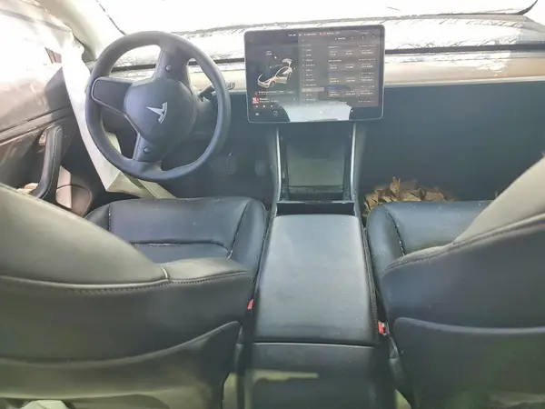 5YJ3E1EC6LF627637 2020 TESLA MODEL 3 - Image 8