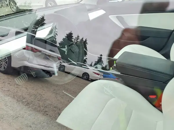 5YJ3E1EC6LF714647 2020 TESLA MODEL 3 - Image 8