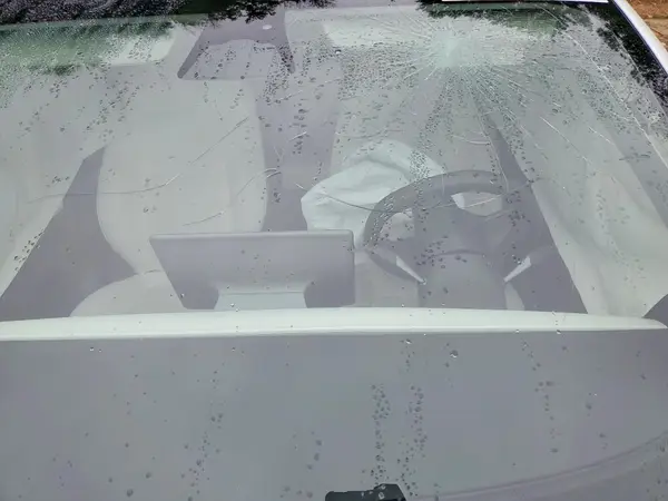 5YJ3E1EC7LF719176 2020 TESLA MODEL 3 - Image 8